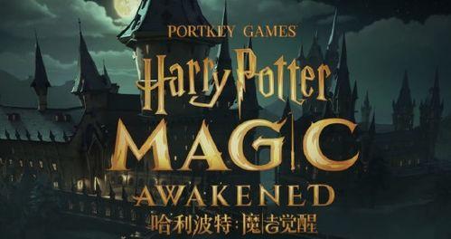 哈利波特最新卡爆料,神秘新卡牌揭示未知魔法世界